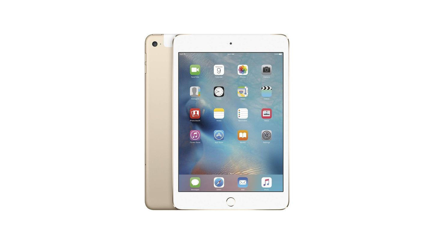 iPad Mini 4th Generation (Unlocked)